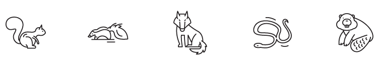 wildlife removal company near me