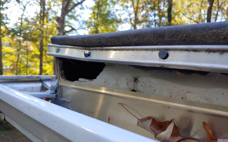 squirrel damage repair