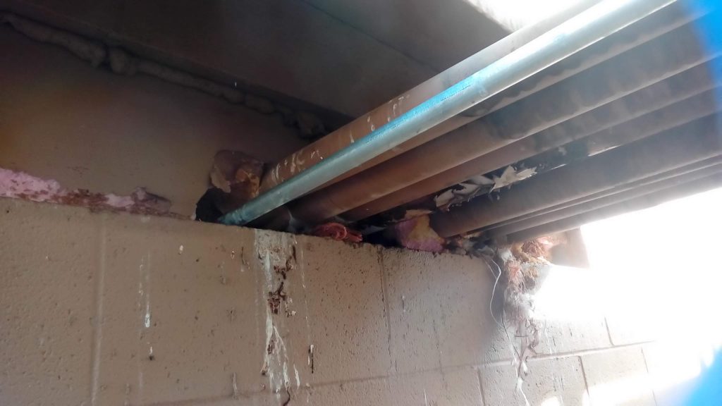 Commercial Bird Proofing