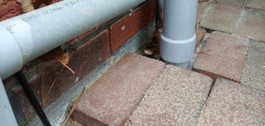 Snake Removal