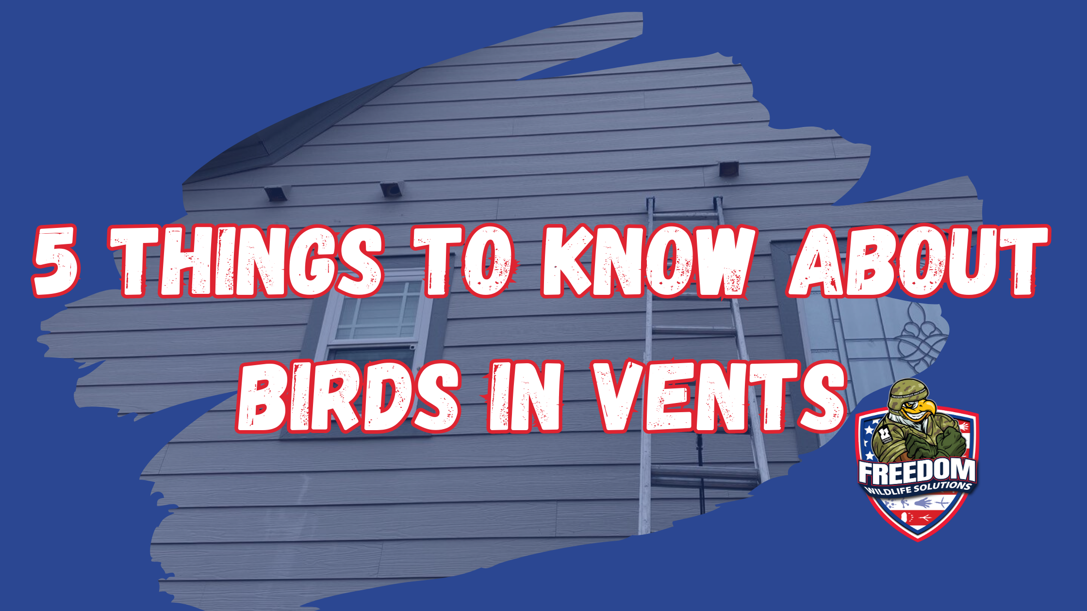 bird in vent