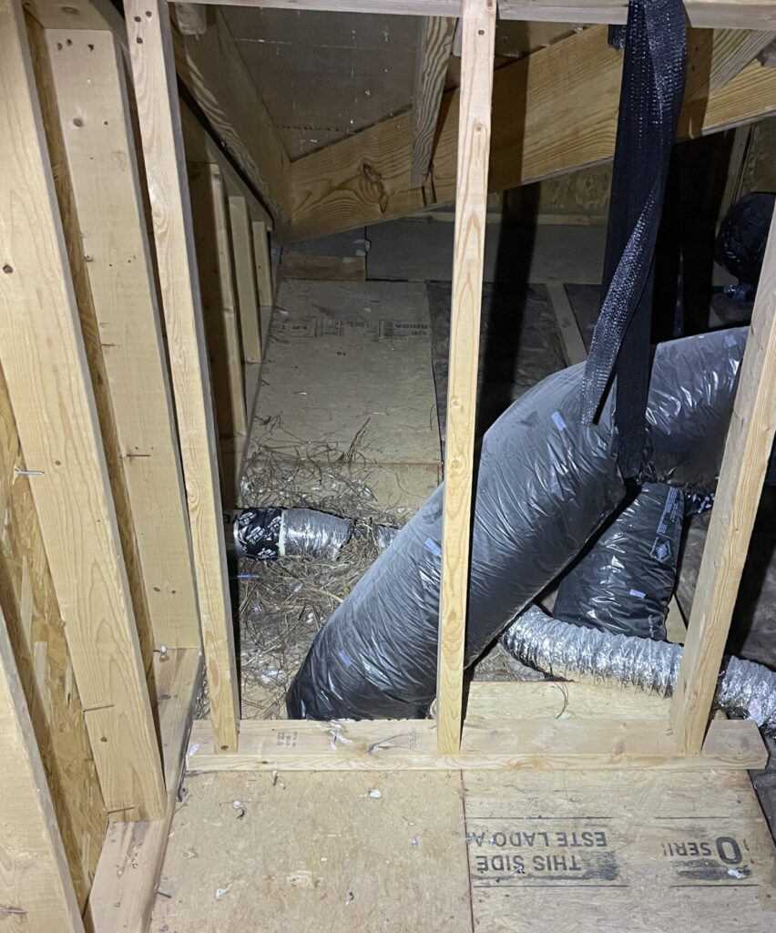 Birds nest in vent duct