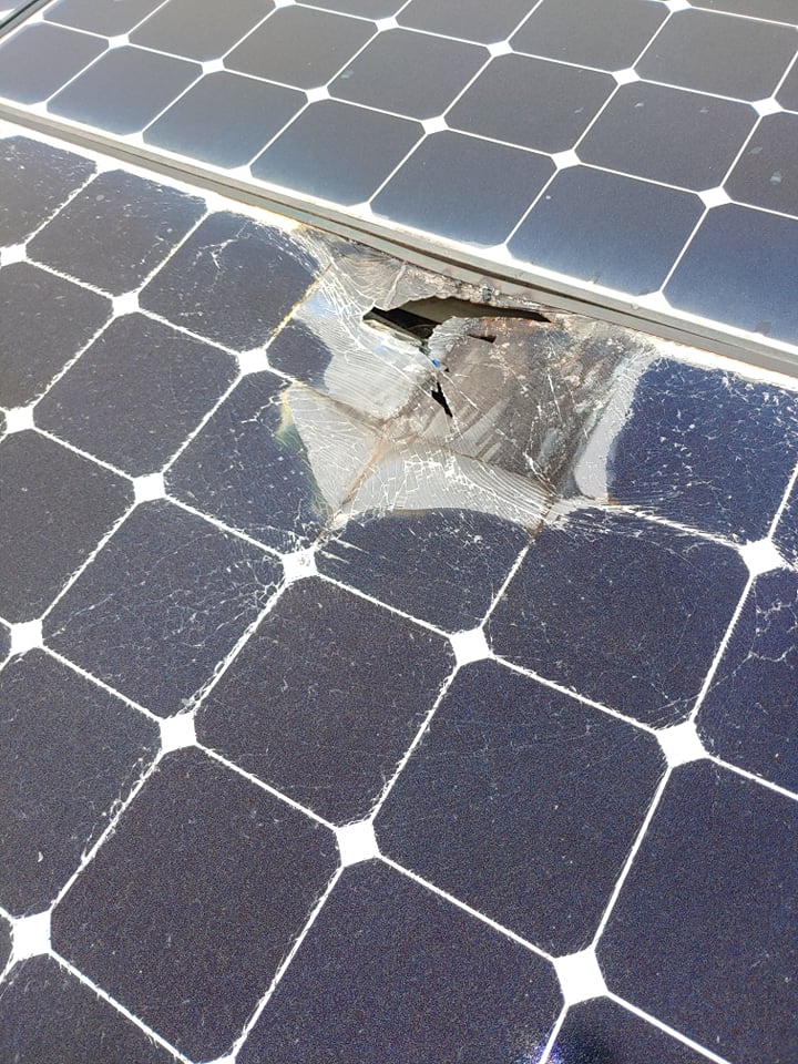 Squirrels damaged solar panels