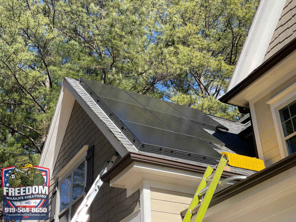 Solar Panel Guards