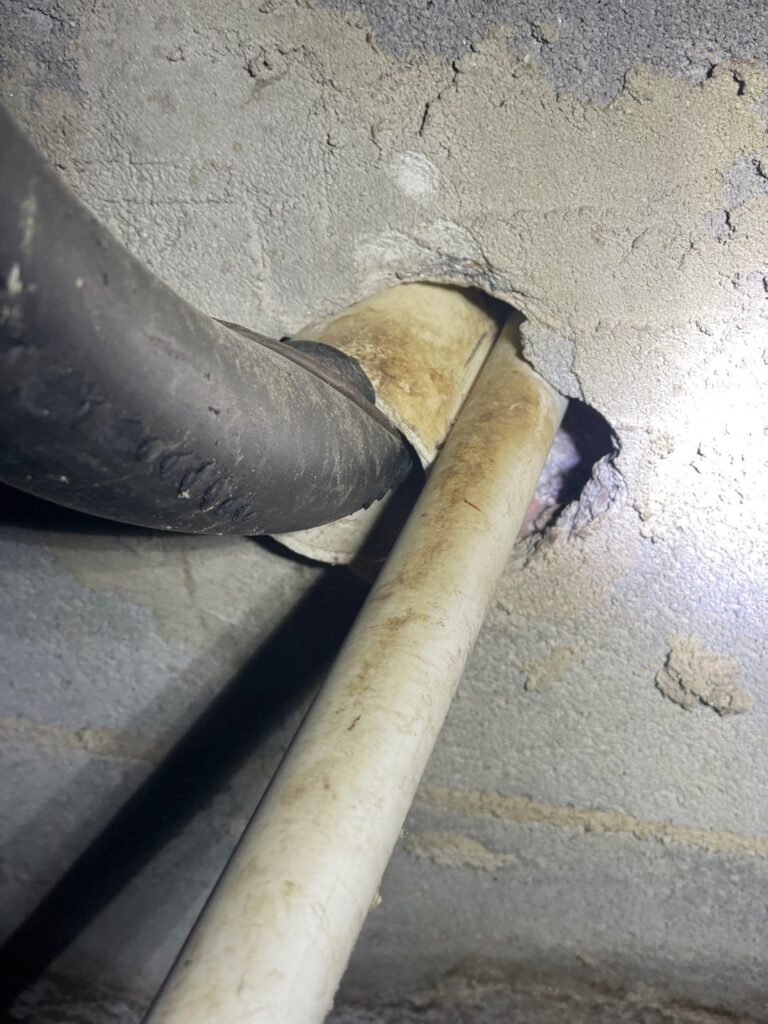 Rodent Exclusion Near Me