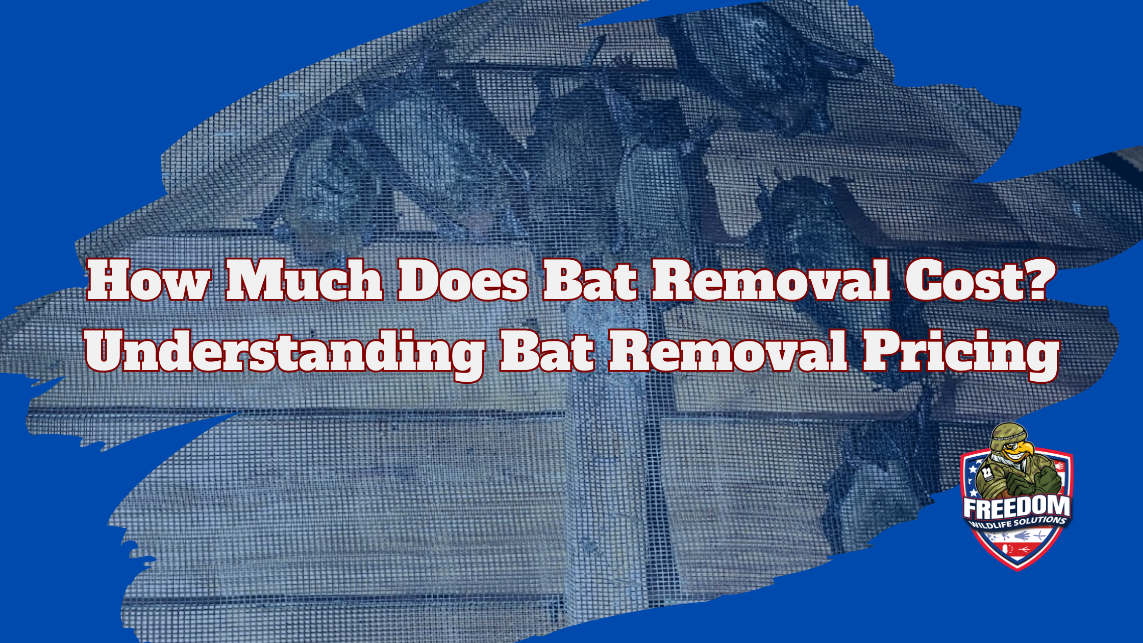 Bat removal cost