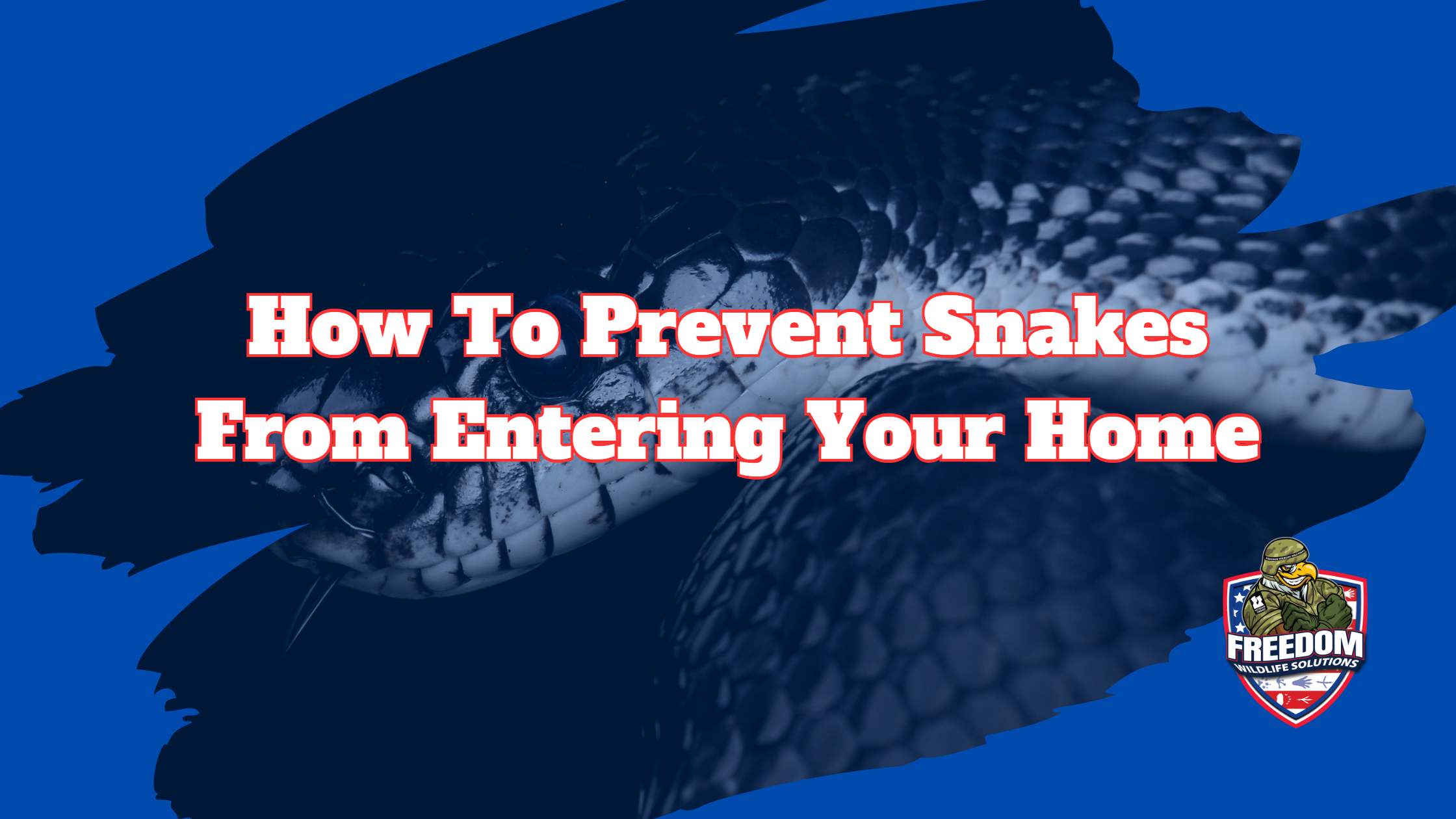 Snake Removal Service