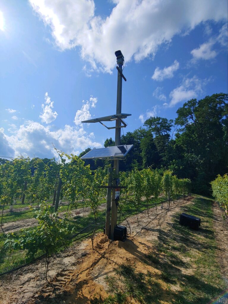 Bird Control Laser