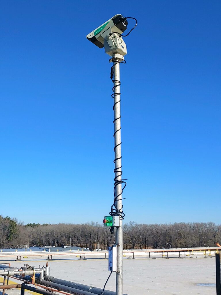 Laser bird deterrent