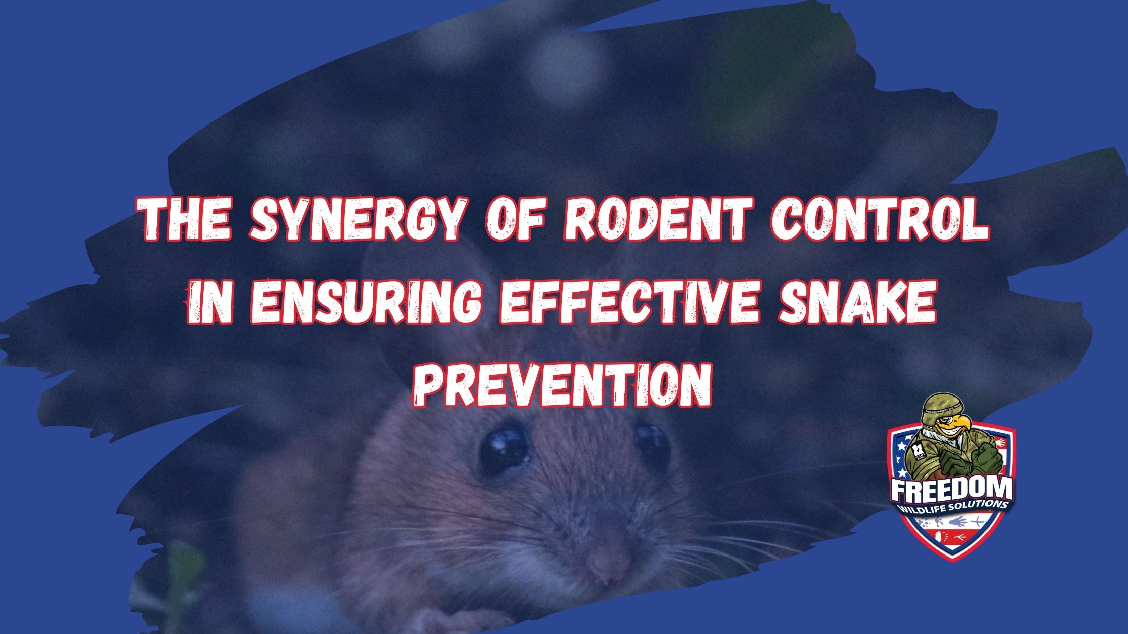 get rid of snakes and mice