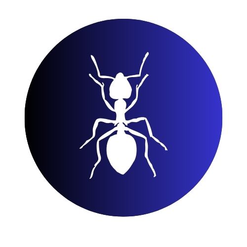 Ants