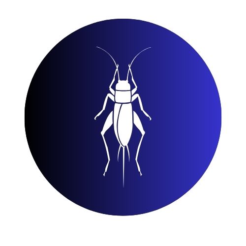 Crickets
