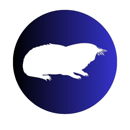 Moles