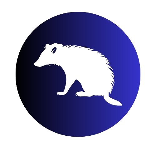 Opossums
