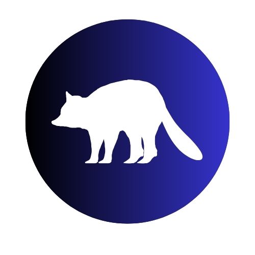 Raccoons