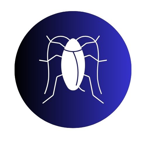 Roaches