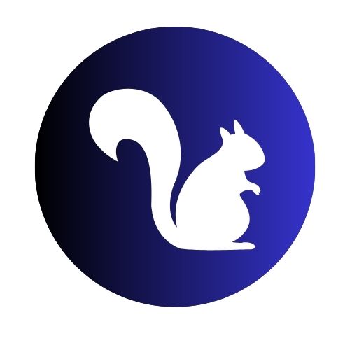 Squirrels