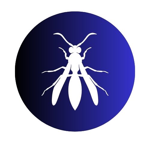 Stinging Insects