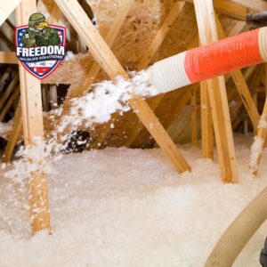 Attic Remediation