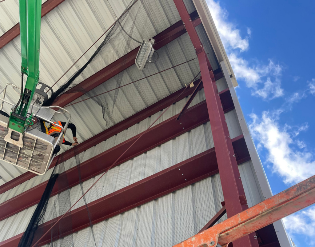Get Rid Of Birds In Warehouse Raleigh NC