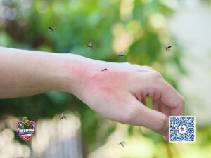 Clayton NC Mosquito Control