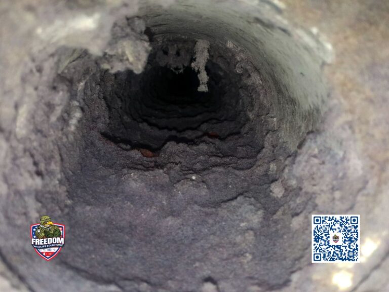 Dryer Vent Cleaning