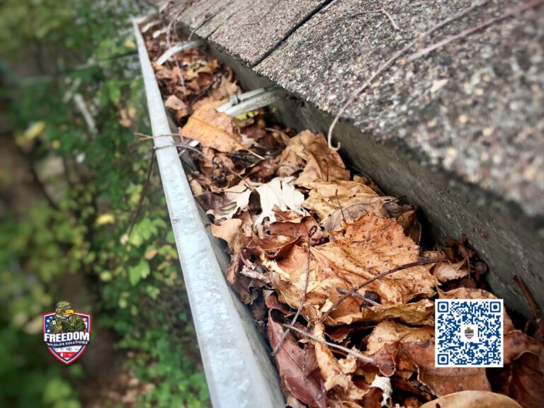 Gutter Cleaning Near Me