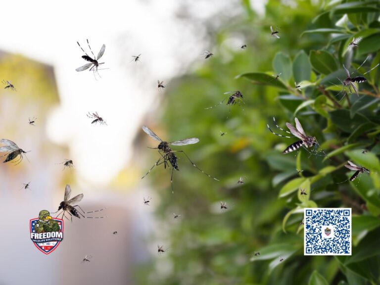 Mosquito Control in Princeton, NC
