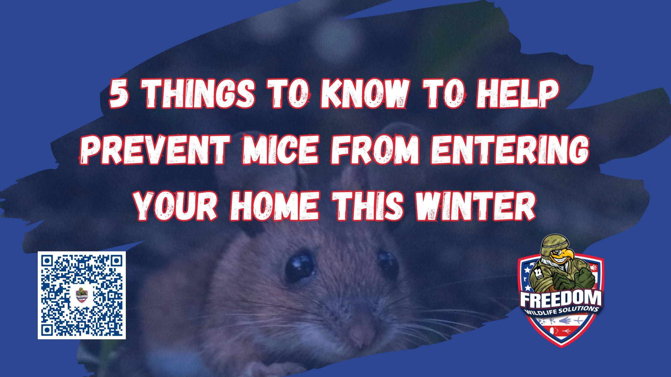 Prevent Mice From Entering Your Home this Winter