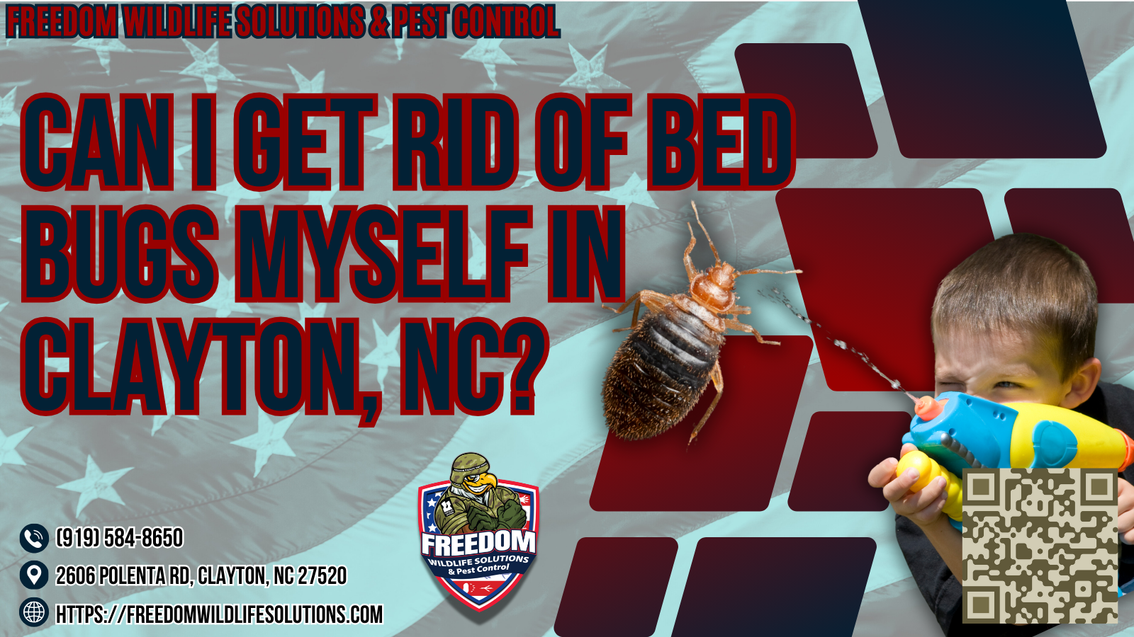 Can I Get Rid Of Bed Bugs Myself in Clayton, NC.