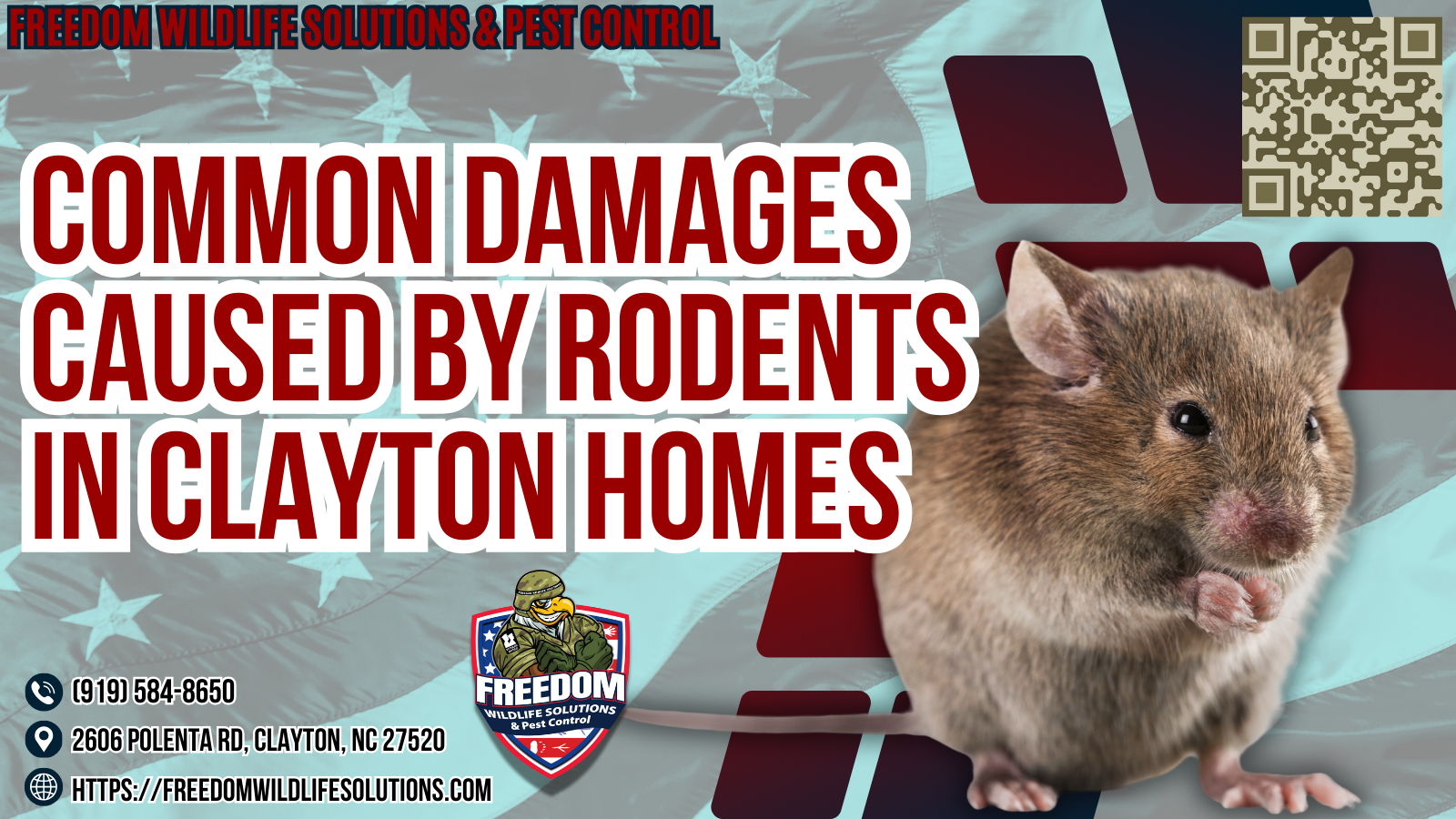 Common Damages Caused By Rodents In Clayton Homes.