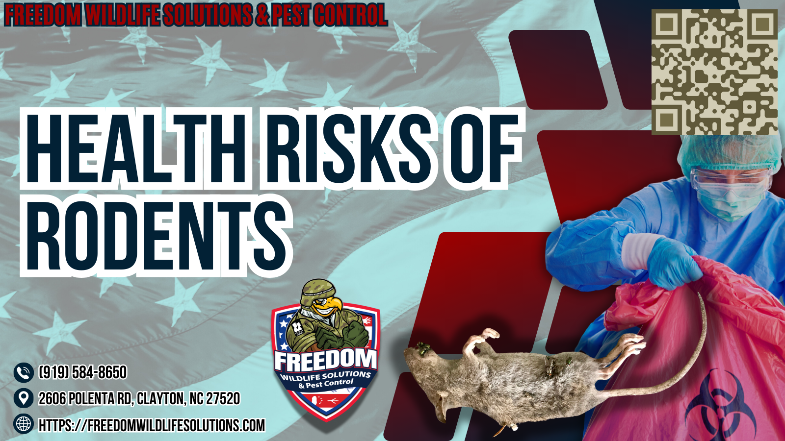 Health Risks of Rodents