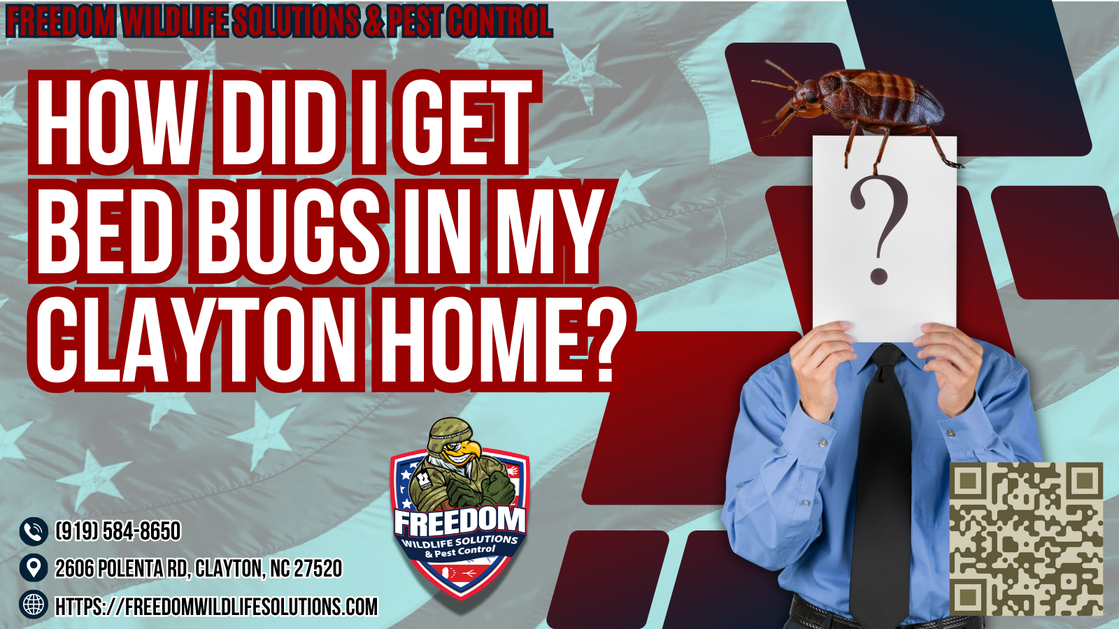How Did I Get Bed Bugs in my Clayton home?