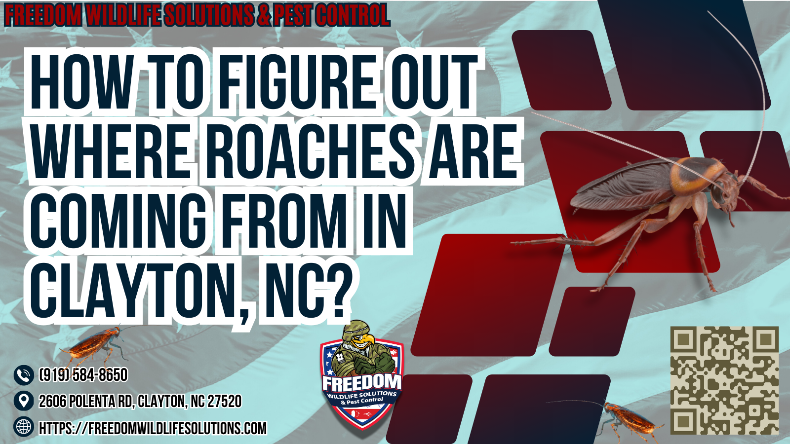 How To Figure Out Where Roaches Are Coming From in Clayton, NC.