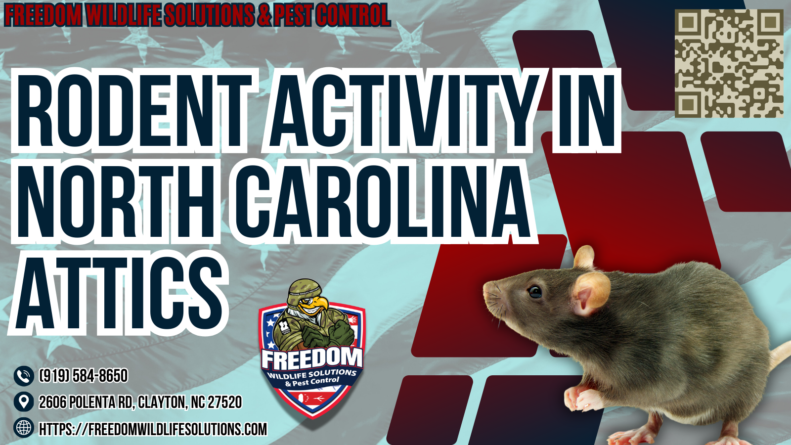 Rodent Activity In North Carolina Attics.