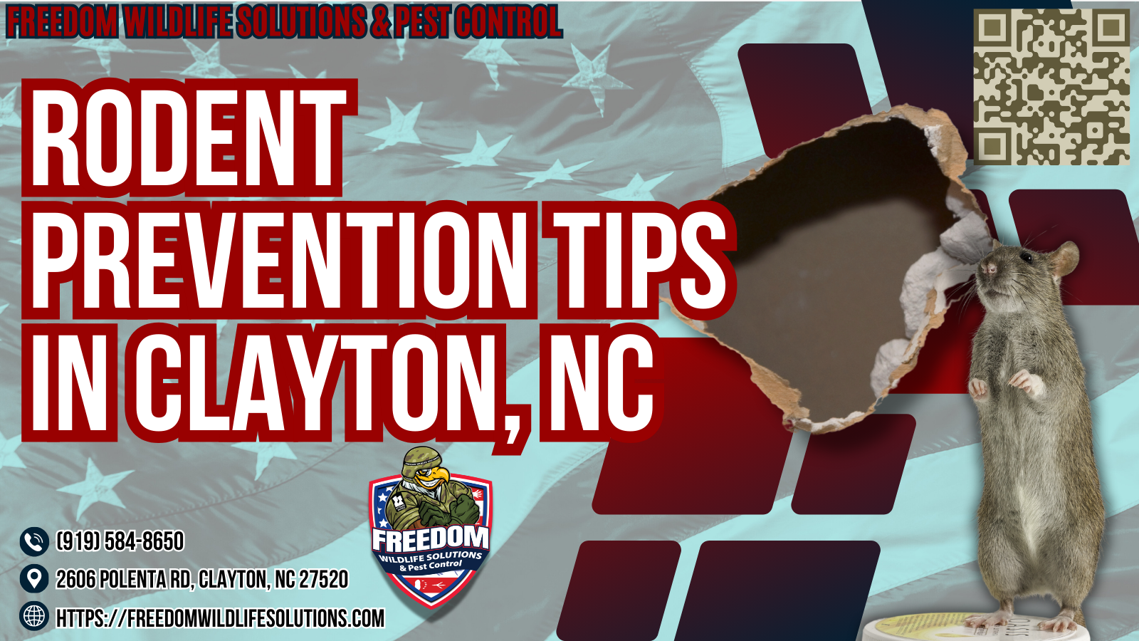 Rodent Prevention Tips In Clayton, NC.