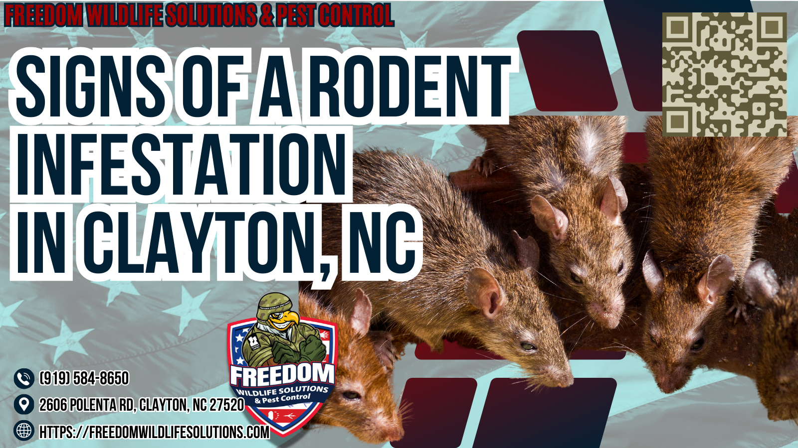 Signs Of A Rodent Infestation In Clayton, NC.