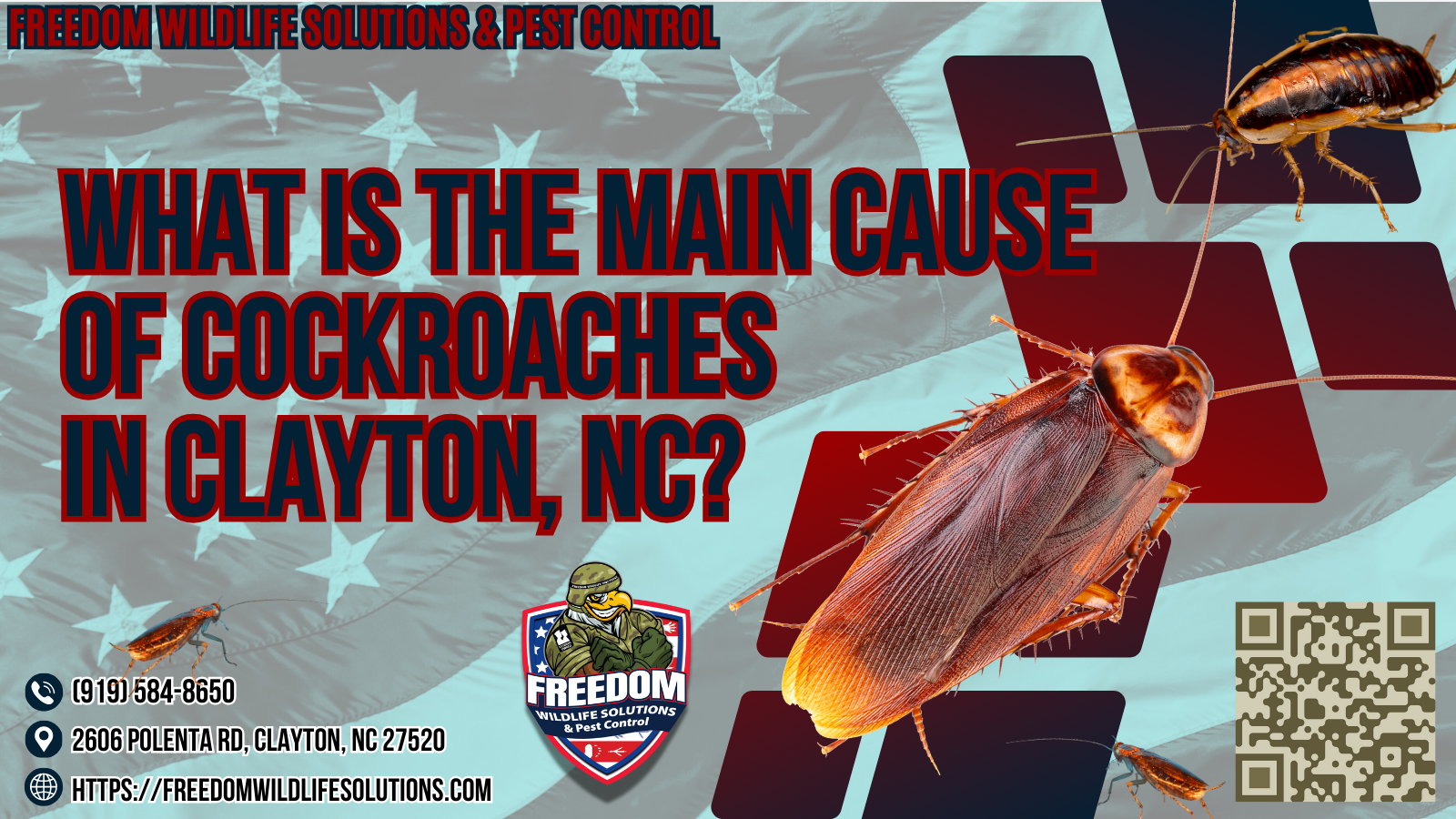 What Is The Main Cause Of Cockroaches in Clayton, NC.