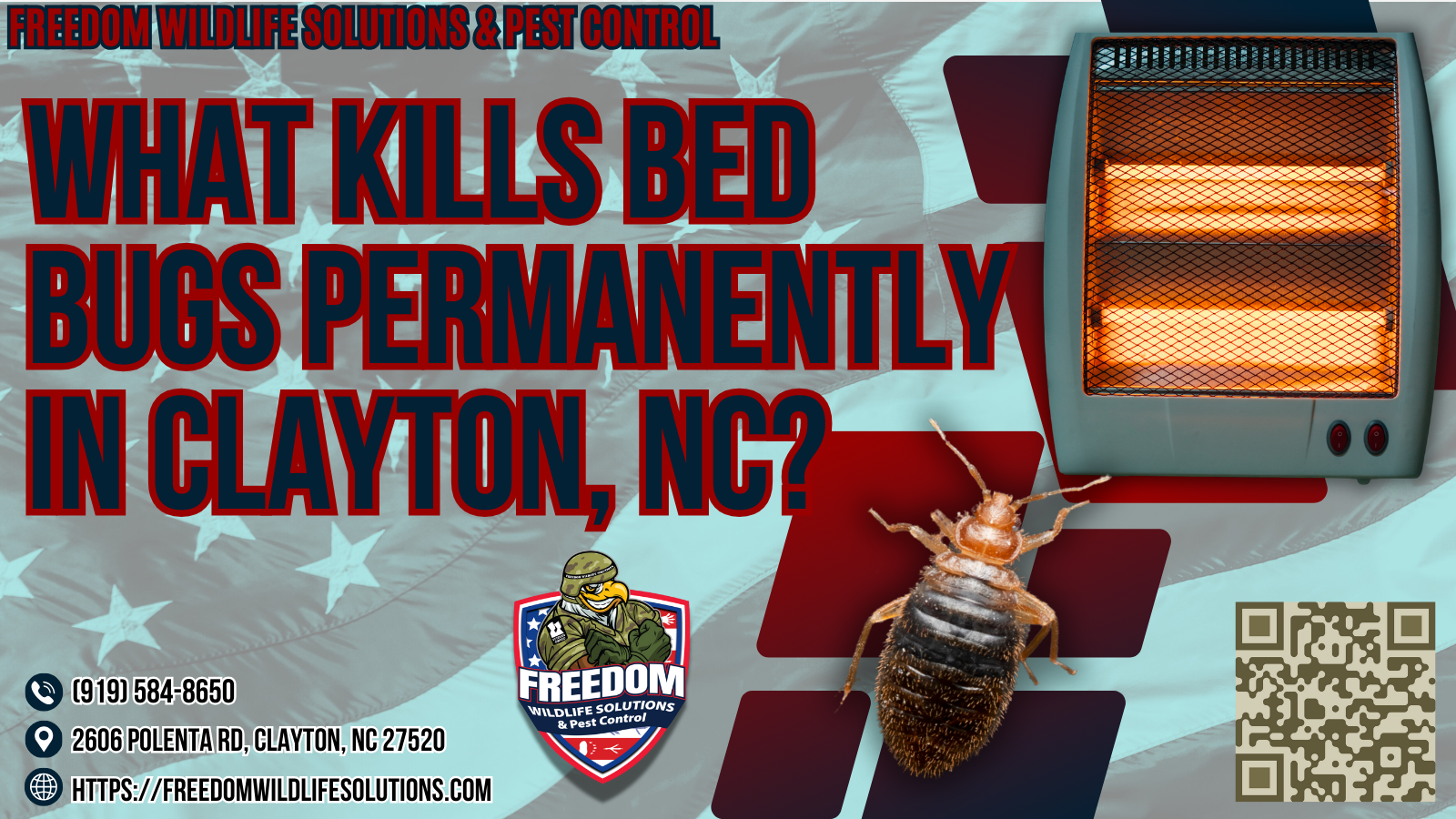 What Kills Bed Bugs Permanently in Clayton, NC.