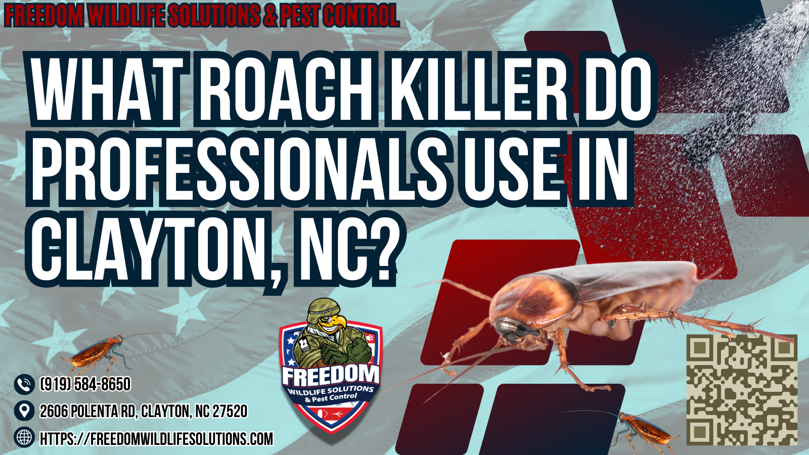 What Roach Killer Do Professionals Use in Clayton, NC.