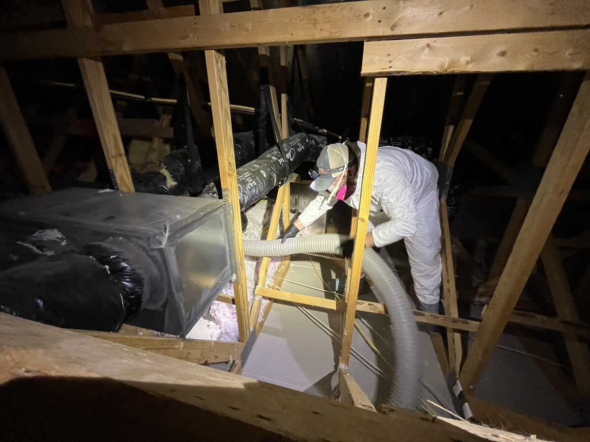 Freedom Wildlife Solutions technician in PPE performing attic remediation and rodent cleanup in Raleigh NC
