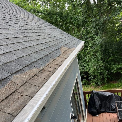 squirrel proof gutter guards