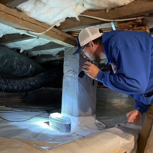 Crawlspace Inspection